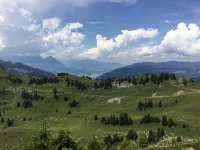 IMG 1792  we must now make time along this trail. AT the end we were nearly running...