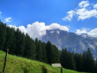 IMG 20170718 130118 HDR  then they walked the last bit