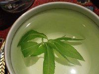 IMG 20170718 211940  Verveine?