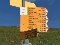 IMG 8729  we are going to Schynige Platte