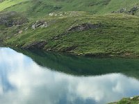 IMG 8751  with sheep