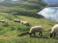 IMG 8753  but only for a short moment