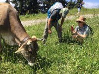 IMG 1893  cowz are contagious