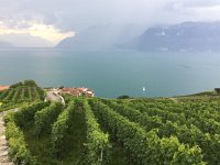 IMG 1915  above Rivaz