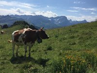 IMG 8860  and then up tp Bretaye