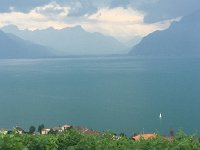 IMG 8885  from there, we went straight to Chexbres and Lavaux