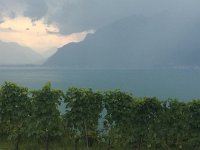 IMG 8889  weather brewing