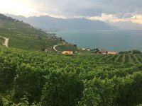 IMG 8894  back toward la Riviera