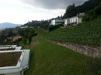 20170723 181732  view from their balcony