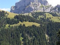 20170729 142937  haying in the fields