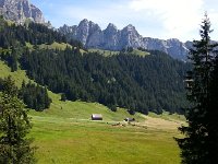 20170729 144637  meadow