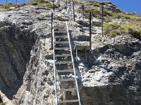 20170704 140237  blue-white-blue