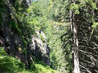 20170705 110847  sidehill