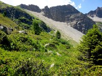 20170705 125705  unblazed trail