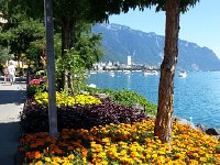 20170706 160921  flowers