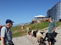 20170708 092550  8 July above Leysin