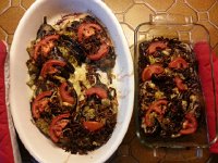 20170724 193142  24 July eggplant fansat David&#39;s