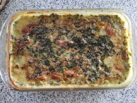 20170728 184151  28 July gratinée