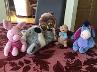 IMG 1382  lil&#39; buddies