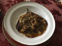 IMG 1386  eggplant fan