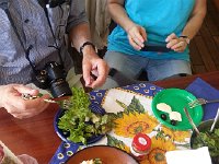 20170615 123311  some lettuce from the garden