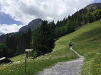 IMG 1024  where to picnic?