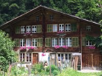 IMG 1047  lots of windows