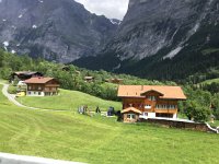 IMG 1051  manicured lots above Grindelwald