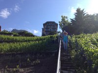 IMG 5278  Next day...