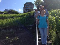 IMG 5279  down through the vineyard