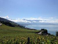 IMG 5280  into Lavaux