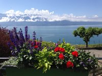 IMG 5288  why Epesses is nice