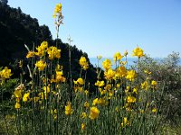 20170619 094952  my view at first technical stop