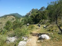 20170619 105448  nice trail