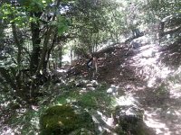 20170619 112331  luckily there was a lot of shade along the trail itself