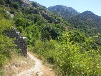 20170619 123455  beautiful walking