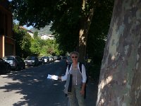 20170620 095947  auto-stop (plan C or maybe D)