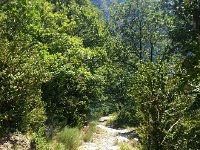 20170620 114336  sunny trail