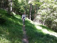 20170620 121504  into the forest