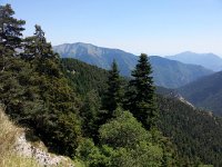 20170620 140424  climbing to the ridge