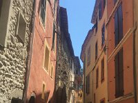 IMG 1166  shaded alleys