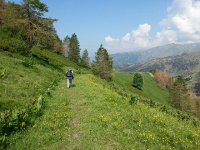 20170621 104002  down the old military road