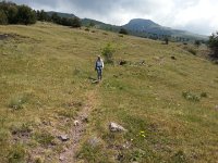 20170621 120300  a long way along the side of the ridge