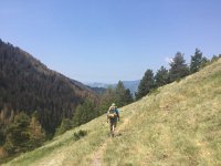 IMG 1192  warmer as we follow the contours