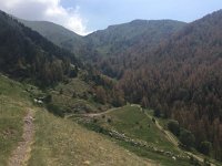 IMG 1193  where we came from