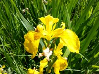 20170622 110751  more!