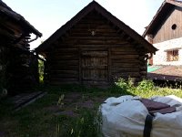 20170623 091316  antlers