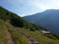 20170623 091753  open fields high on the valley wall