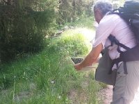 20170623 095552  attracted our attention