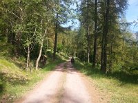 20170623 100655  follow the road